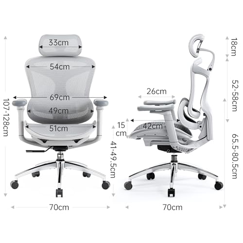 SIHOO Doro C300 Chaise de Bureau Ergonomique avec Accoudoirs Ultra Doux en 3D, Soutien Lombaire Dynamique pour Chaise Bureau à Domicile, Fauteuil de Bureau avec Dossier réglable(Blanc)
