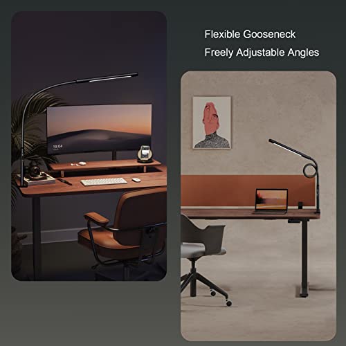 Eyocean 12W Desk Lamp, with Clamp, Eye Protection LED, Adjustable Color Temperature, Touch Control, Memory and Timing Function, for Beautiful Crafts Reading Enjoyment