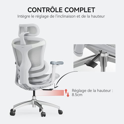 SIHOO Doro C300 Chaise de Bureau Ergonomique avec Accoudoirs Ultra Doux en 3D, Soutien Lombaire Dynamique pour Chaise Bureau à Domicile, Fauteuil de Bureau avec Dossier réglable(Blanc)