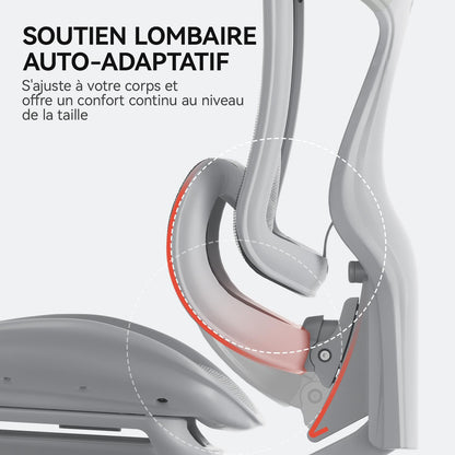 SIHOO Doro C300 Chaise de Bureau Ergonomique avec Accoudoirs Ultra Doux en 3D, Soutien Lombaire Dynamique pour Chaise Bureau à Domicile, Fauteuil de Bureau avec Dossier réglable(Blanc)
