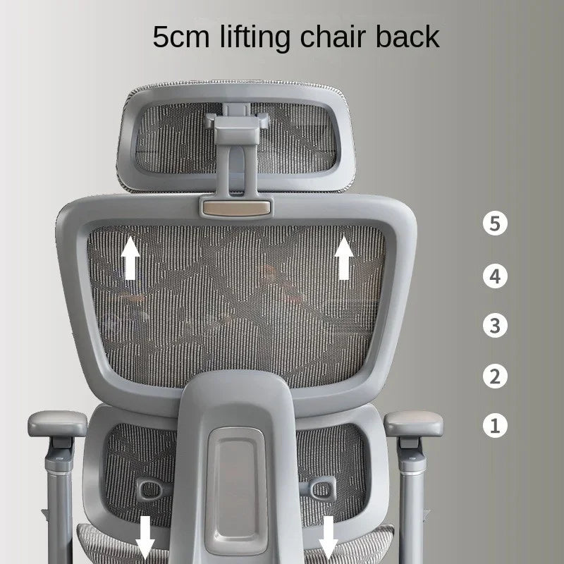 Ergonomic Chair Lumbar Computer Chair Home Comfort Sedentary Gaming Chair Reclining Office Chair for Desk Chair News